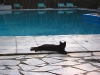 Greece 057